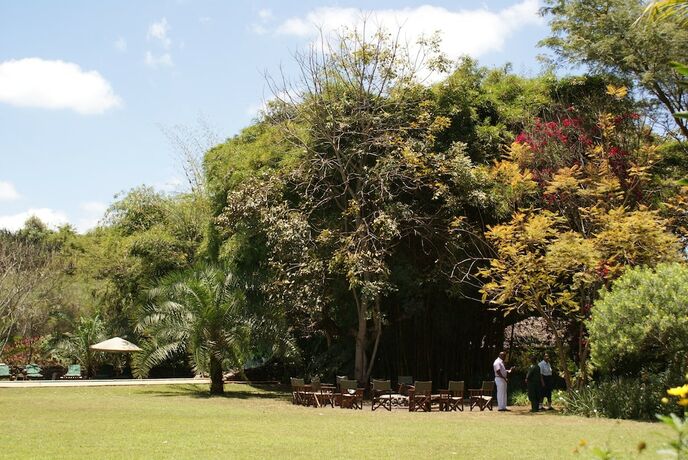 Imagen general del Hotel Moivaro Coffee Plantation Lodge. Foto 6