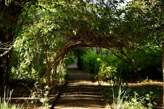Imagen general del Hotel Moivaro Coffee Plantation Lodge. Foto 7
