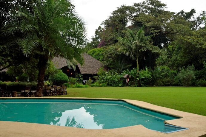 Imagen general del Hotel Moivaro Coffee Plantation Lodge. Foto 13