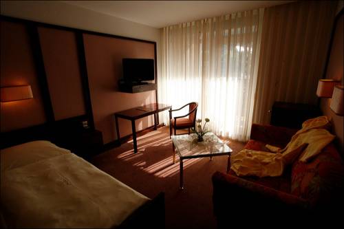 Imagen de la habitación del Hotel Mokni's Palais and Spa. Foto 12