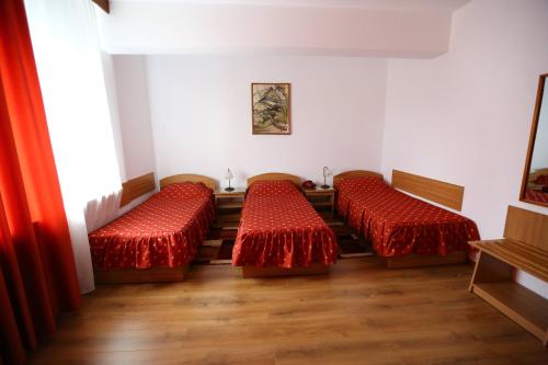 Imagen de la habitación del Hotel Moldova, Vaslui. Foto 5