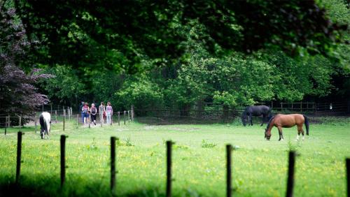 Imagen general del Hotel Molecaten Park De Leemkule. Foto 13