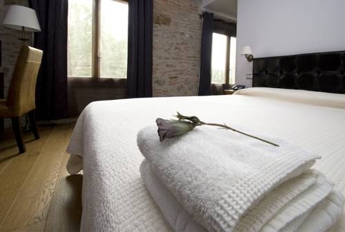 Imagen general del Hotel Molí De La Torre. Foto 5