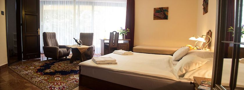 Imagen de la habitación del Hotel Molnár. Foto 10