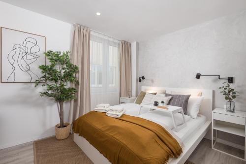 Imagen general del Hotel Molo Longo - Central Apartments & Rooms. Foto 7