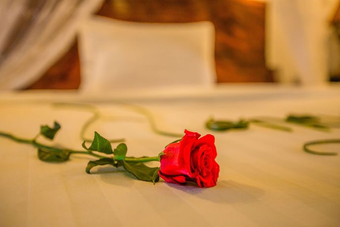 Imagen de la habitación del Hotel Moloppor Villa. Foto 11