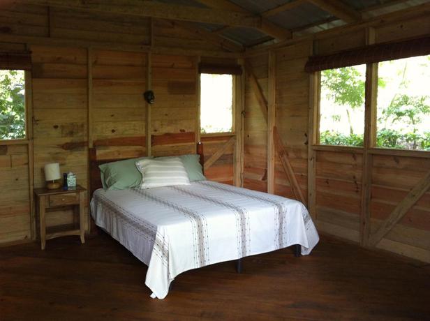 Imagen de la habitación del Hotel Mombacho Lodge. Foto 4