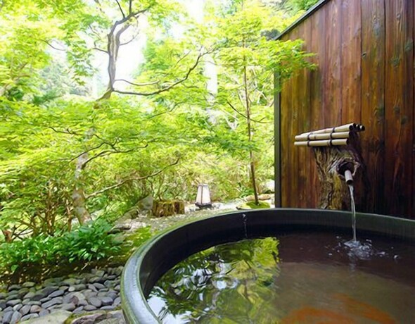 Imagen de la habitación del Hotel Momijiya Bekkan Kawanoiori. Foto 12