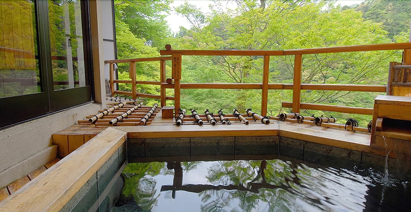 Imagen de la piscina del Hotel Momijiya Honkan Takao Sansou. Foto 8