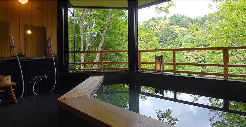 Imagen de la piscina del Hotel Momijiya Honkan Takao Sansou. Foto 10