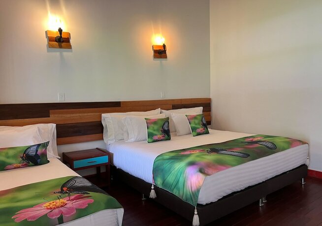Imagen de la habitación del Hotel Momotus Cocora. Foto 14