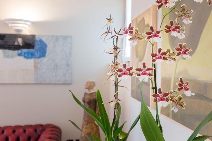 Imagen de los interiores del Hotel Mon Repos, Sirmione. Foto 12