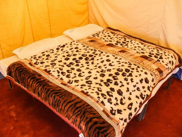 Imagen de la habitación del Hotel Monalisa Camp. Foto 15