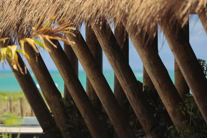 Imagen general del Hotel Monan Boutique. Foto 2