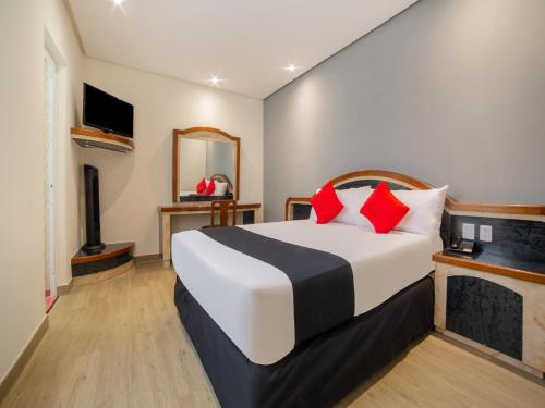 Imagen general del Hotel Monarca, Mexico City. Foto 5