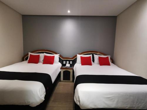 Imagen general del Hotel Monarca, Mexico City. Foto 9