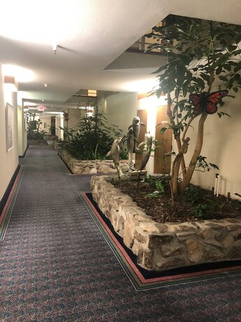 Imagen general del Hotel Monarch Resort. Foto 6