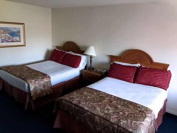 Imagen de la habitación del Hotel Monarch Resort. Foto 17