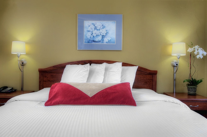 Imagen de la habitación del Hotel Monarch, San Francisco. Foto 9