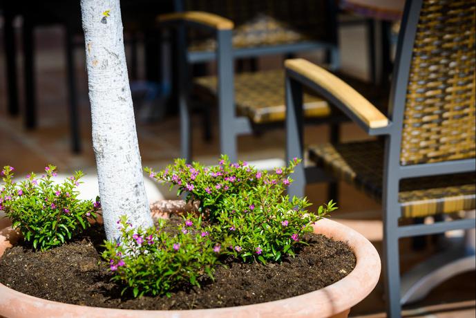 Imagen general del Hotel Monarque El Rodeo. Foto 9