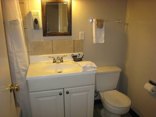 Imagen de la habitación del Hotel Monashee Lodge, Revelstoke. Foto 10