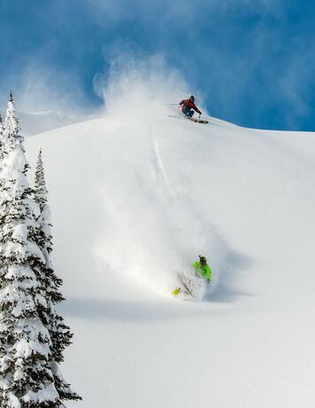 Imagen general del Hotel Monashee Lodge, Revelstoke. Foto 1