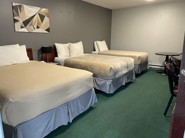 Imagen de la habitación del Hotel Monashee Lodge, Revelstoke. Foto 16