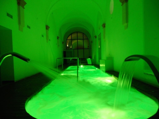 Imagen general del Hotel Monasterio De Piedra. Foto 10