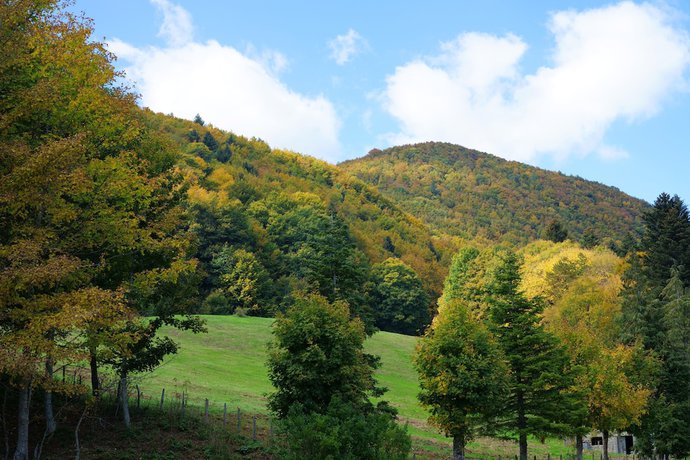 Imagen general del Hotel Monastero Sant Alberico Relais. Foto 2
