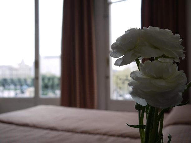 Imagen general del Hotel Monegal. Foto 14