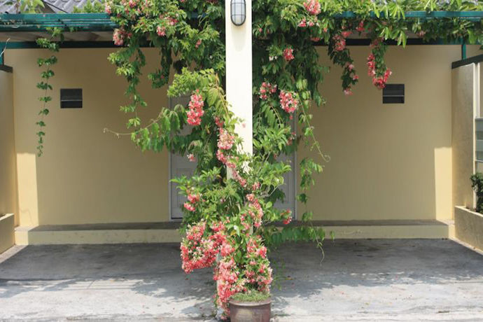 Imagen de los exteriores del Hotel Money Resort. Foto 10