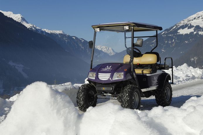 Imagen de la habitación del Hotel Monika and Montafon Chalets. Foto 3