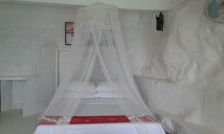 Imagen general del Hotel Monkey House. Foto 4