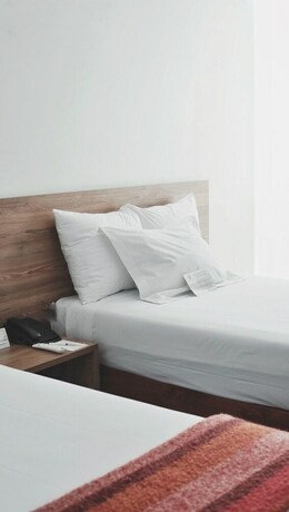 Imagen de la habitación del Hotel Monkeys Canopy Resort. Foto 5