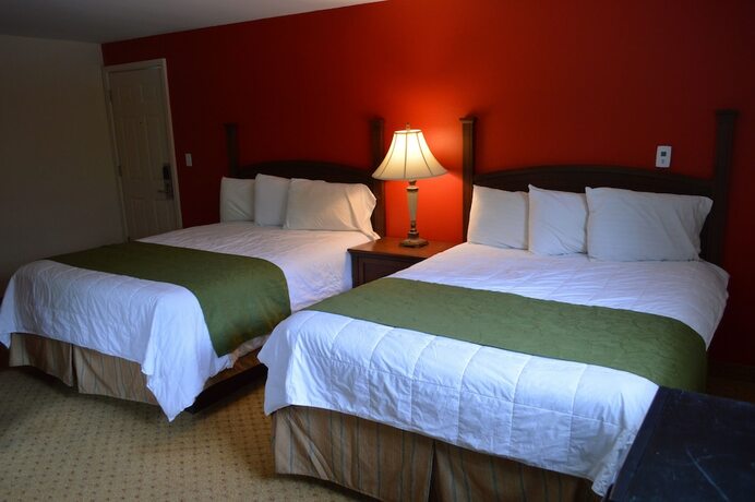 Imagen de la habitación del Hotel Monnie Lynn Motel. Foto 14