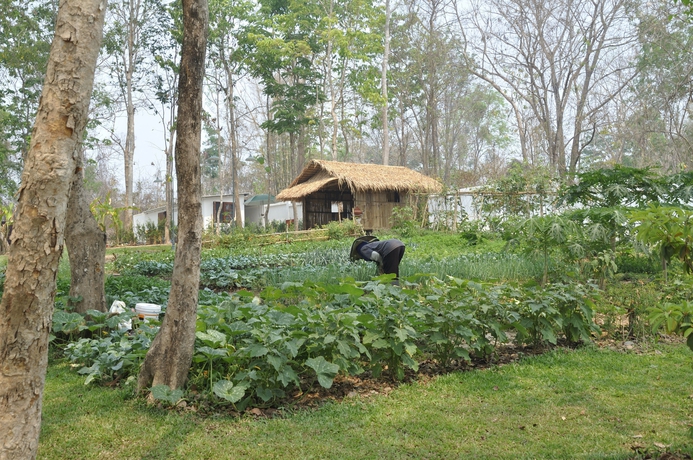 Imagen de los exteriores del Hotel Monoceros Resort. Foto 12