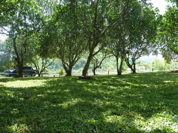 Imagen general del Hotel Monoko Porploen Resort. Foto 3