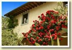 Imagen general del Hotel Monsignore Della Casa Resort. Foto 2