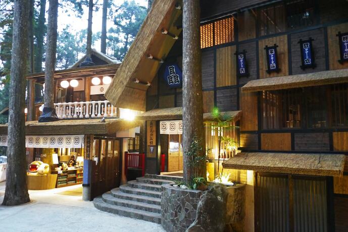 Imagen general del Hotel Monster Village. Foto 2