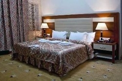 Imagen general del Hotel Mont Inn. Foto 2