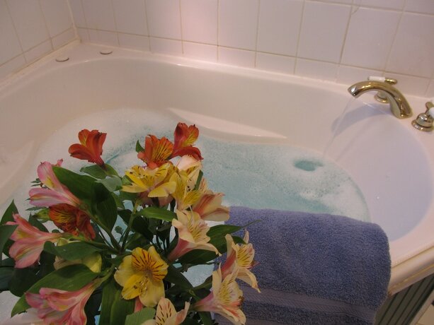 Imagen general del Hotel Mont Rest Inn. Foto 6
