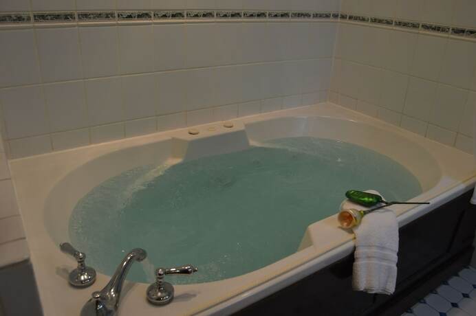Imagen general del Hotel Mont Rest Inn. Foto 11