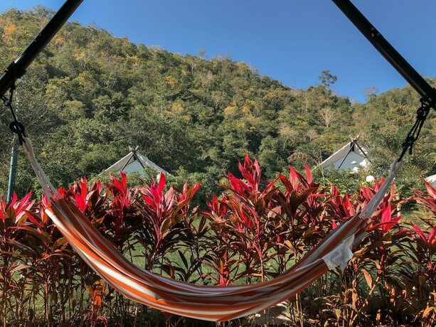 Imagen general del Hotel Mont blanc glamping khao yai. Foto 9