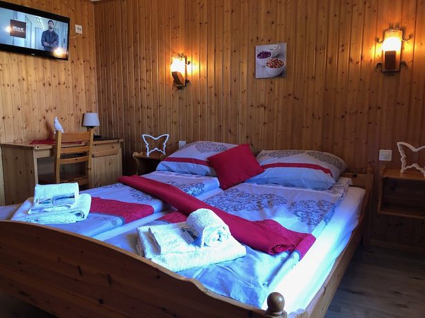 Imagen de la habitación del Hotel Mont-Noble. Foto 16