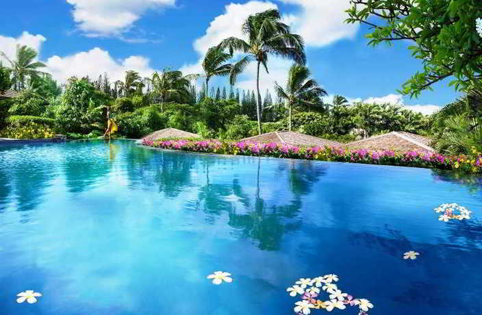 Imagen de la piscina del Hotel Montage Kapalua Bay. Foto 23
