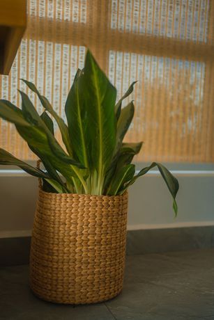 Imagen de la habitación del Hotel Montagne Boutique. Foto 5