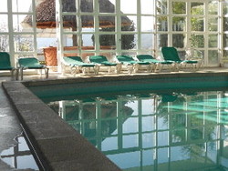 Imagen de la piscina del Hotel Montalegre. Foto 7