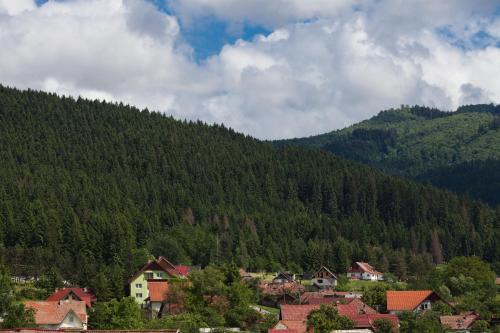 Imagen general del Hotel Montana - Covasna. Foto 15