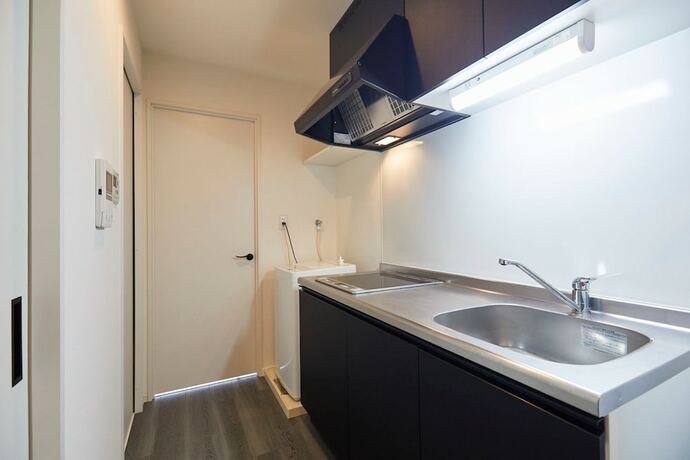 Imagen de la habitación del Hotel Montana Flat Yebisu. Foto 34