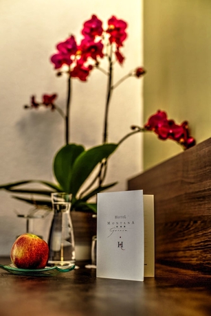 Imagen de la habitación del Hotel Montana, Ginebra. Foto 3